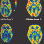 baxter-et-al.gif